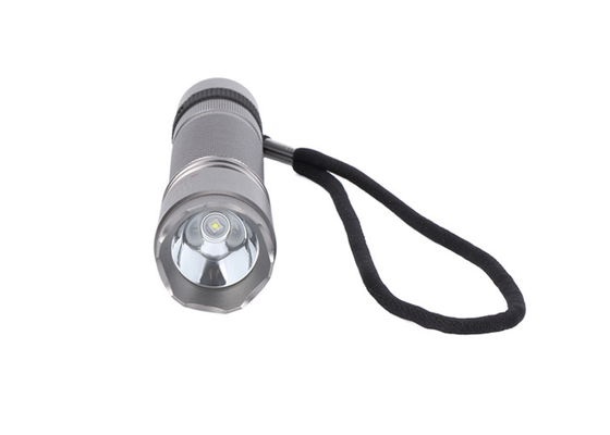 IP66 100Lm 1W Explosion Proof LED Flashlight Aluminum Silver ATEX Approval